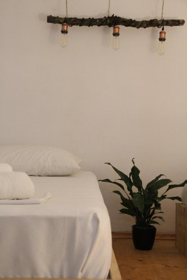 My Wooden Apartments Τίρανα Εξωτερικό φωτογραφία