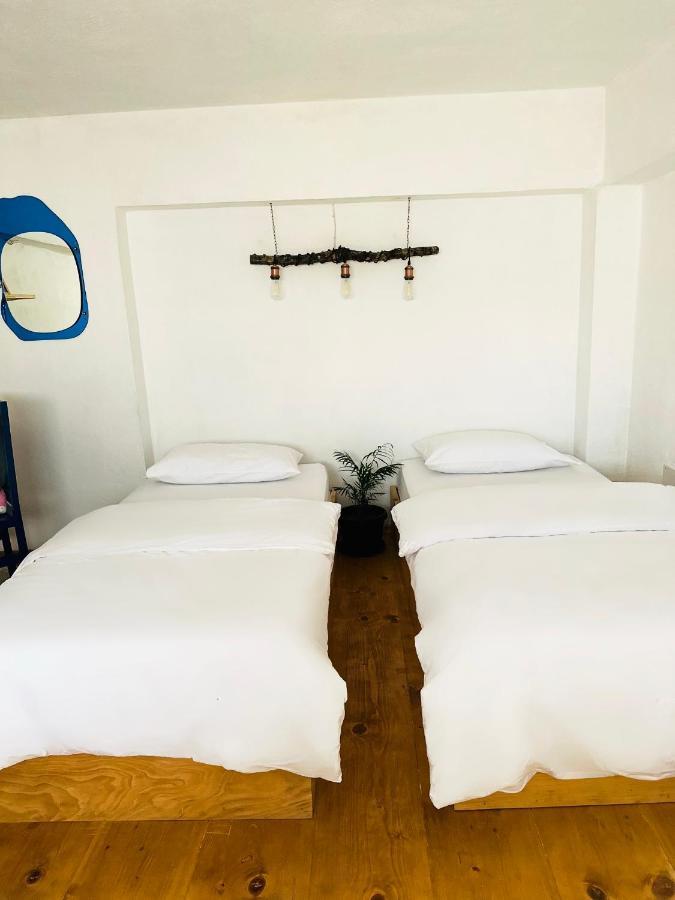 My Wooden Apartments Τίρανα Εξωτερικό φωτογραφία